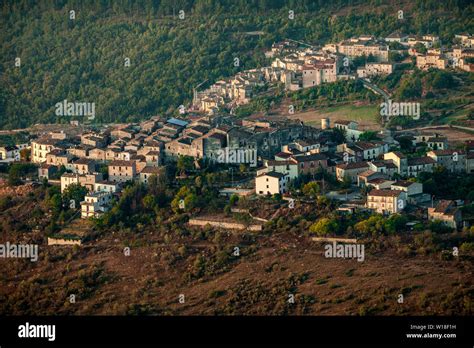 Carapelle calvisio hi-res stock photography and images - Alamy