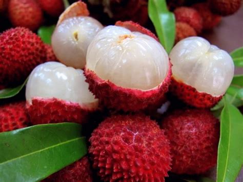 Lychee fruit