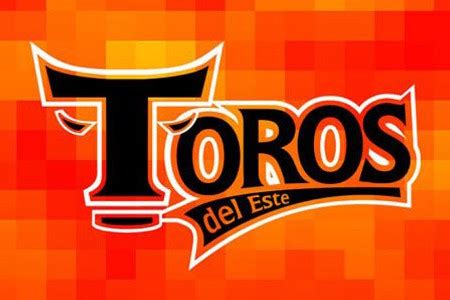 Los Toros del Este Historia y Campeonatos