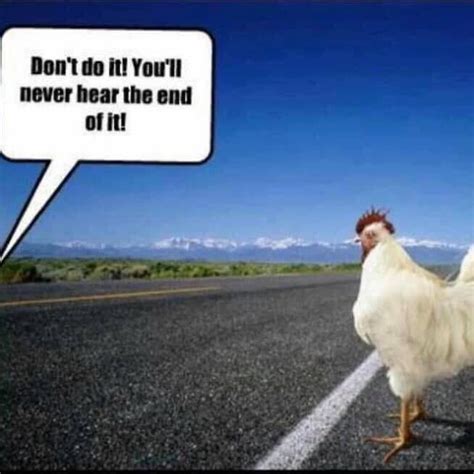 Why did the chicken cross the road? : r/memes