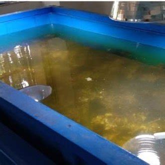 Sargassum sampling location (a) and Sargassum vegetation in the eastern ...