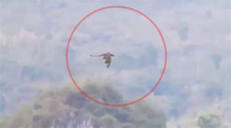 'Mysterious dragon' filmed flying through Chinese mountains -- High Strangeness -- Sott.net