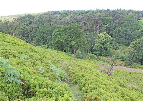 Choose a walk - The Goyt Valley