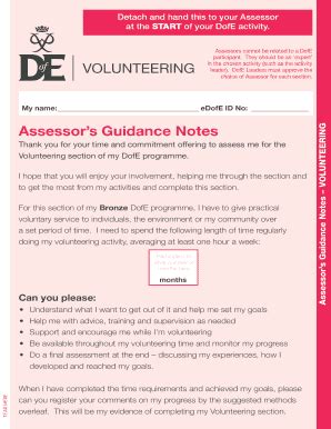 Dofe Bronze Assessor's Report Template - Fill Online, Printable ...