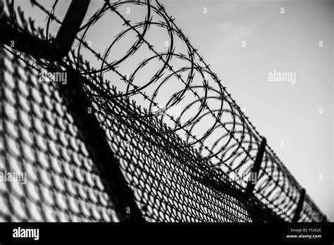 Prison Fence in Black and White. Barbed Wire Fence Closeup Stock Photo - Alamy