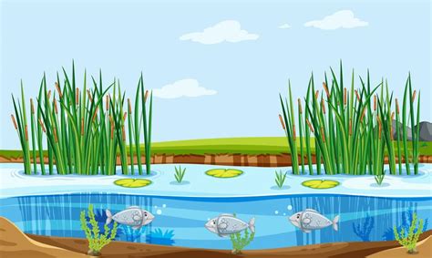 Fish pond nature scene 541611 Vector Art at Vecteezy