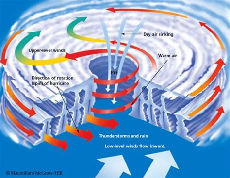 How A Hurricane Forms Diagram