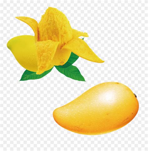 Seed Clipart Mango Seed - Open Mango - Png Download (#3320365) - PinClipart