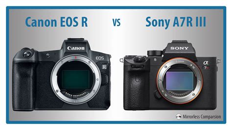 Canon Eos R Vs Sony A7iii Image Quality - Images Poster