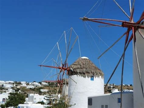 What To Do In Mykonos From A Cruise Ship? - Magazine Villa