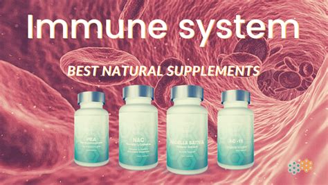 Best Immune System Supplements For Effective Defenses | Immunity Guide