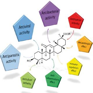 Glycyrrhizic acid (GA) 1 is composed of an aglycone that is... | Download Scientific Diagram