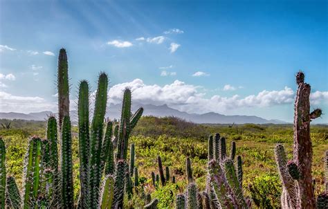 Seasons in Venezuela: Weather and Climate