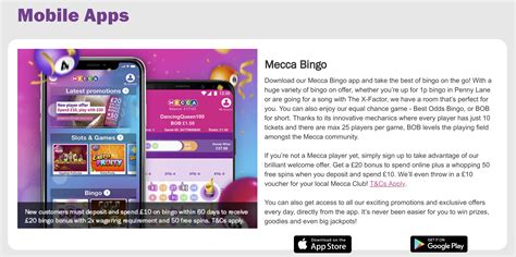 Mecca Bingo Review (2022) Is It The Mecca Of Online Bingo?