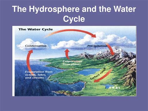 PPT - Hydrosphere PowerPoint Presentation - ID:4988761