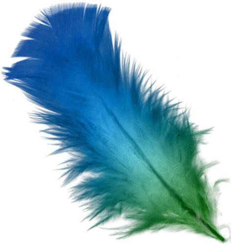 Free Transparent Feather, Download Free Transparent Feather png images, Free ClipArts on Clipart ...