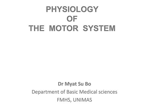 SOLUTION: Physiology of motor system - Studypool