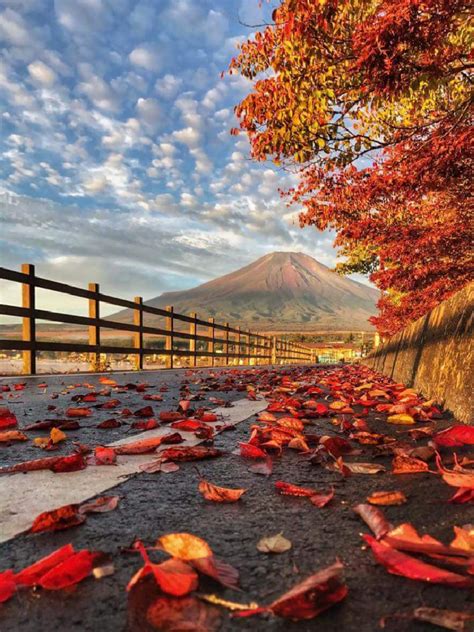 Autumn in Japan. Photo by Adel Shawy. Source plus.google.com | Autumn in japan, Beautiful nature ...