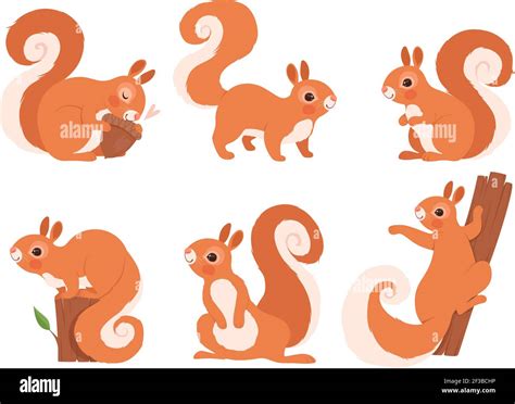 Squirrel wild pose Stock Vector Images - Alamy