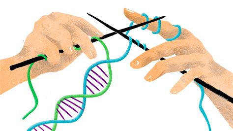 Combining The DNA Of Three People Raises Ethical Questions | NCPR News