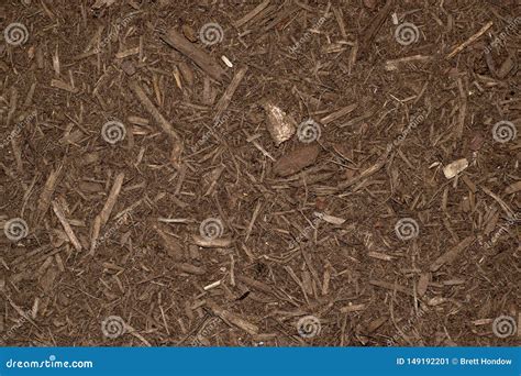 Dark Brown Mulch in a Garden. Stock Image - Image of close, gardening ...