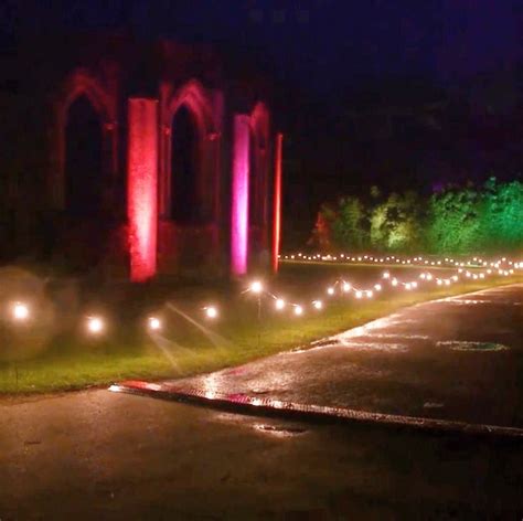 Gallery for Luminate Sandringham Light Trail at Sandringham Estate, Norfolk