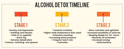 Alcohol Detox Timeline: What to Expect on the Road to Sobriety - Revive Detox