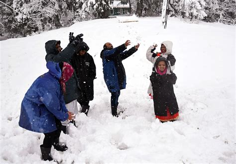 Photo Gallery: Winter is coming! Kashmir valley receives season's first snowfall | News | Zee News