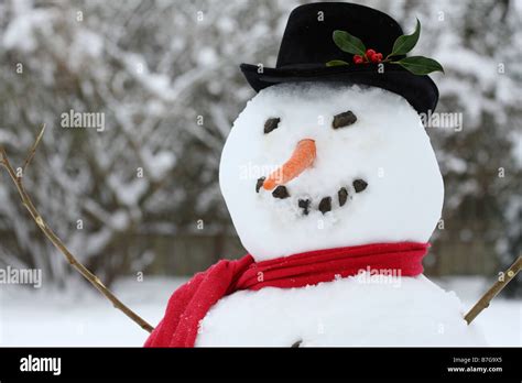 Carrot Nose For Snowman