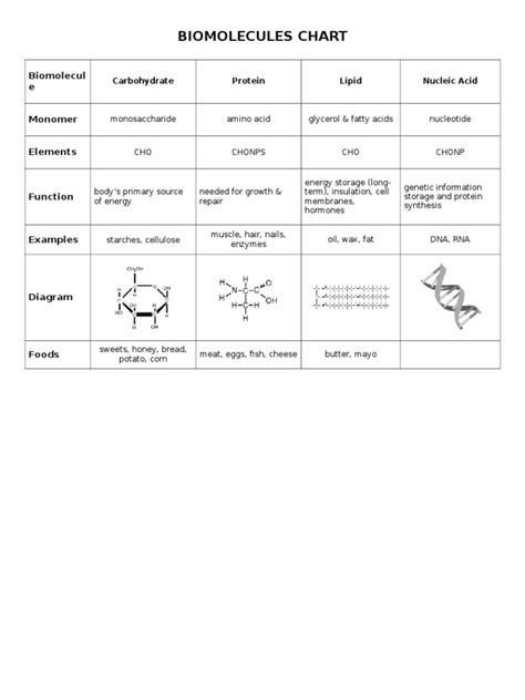 Biomolecules Chart