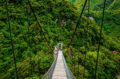 7 Best Places To Visit In Ecuador - Rainforest Cruises