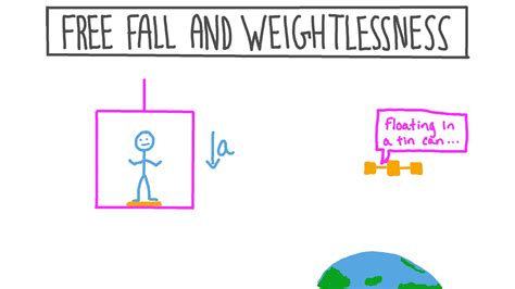 Free Fall Physics | Lemonwho