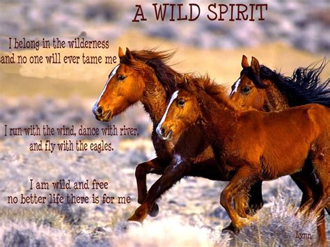 Wild horses wild spirit | Homegrown | Pinterest | Wild spirit, Horse and Animal