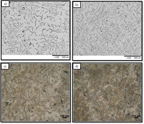 Microstructure of: a) FC250 and b) FC300RG (SEM); c) FC250 and FC300RG ...