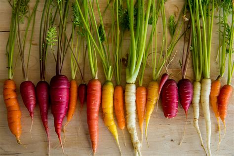 What Are Heirloom Vegetables? – Mother Earth News