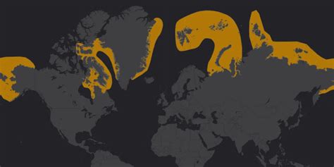 Where Do Walruses Live? [With Map] - Polar Guidebook