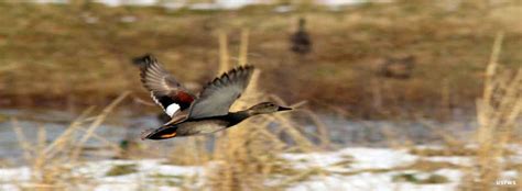 Wheeler National Wildlife Refuge