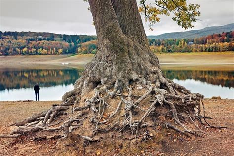 Best national parks in Germany - Lonely Planet