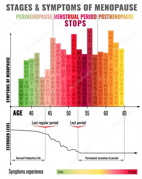 Etapas de la Menopausia Infograf a 2024