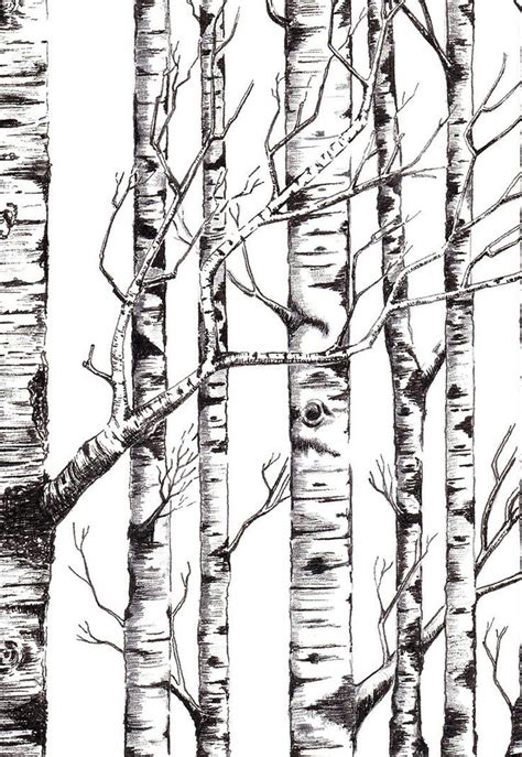 Pin by Mick on Trees in 2022 | Tree art, Birch tree art, Tree drawings ...