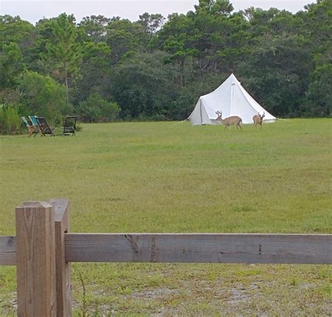 Glamping in Florida: Luxury meets nature in these 12 parks