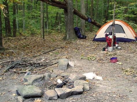 Wayne National Forest - Camping & Cabins:Dispersed Camping in 2022 | Cabin camping, Forest camp ...