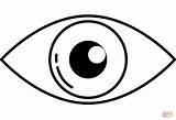 Eye coloring page  Free Printable Coloring Pages sketch template