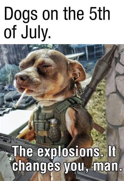 Lieutenant Pupper at your service! - memes Funny Dog Captions, Funny ...