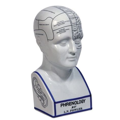 Vintage Phrenology Head – Relic Lexington