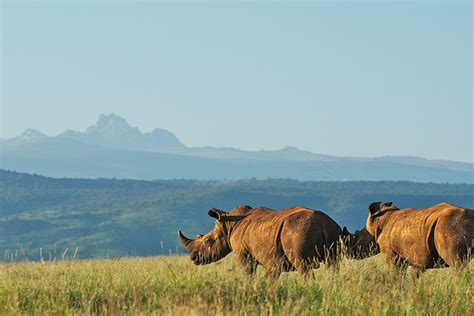 Mount Kenya National Park - Africa One Tours & Travel