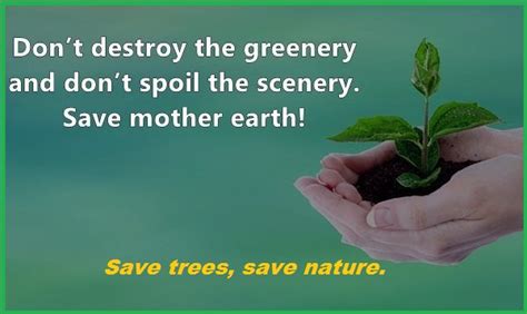 30+ Catchy Slogans on Save Trees – Best and Catchy Save Trees Slogan