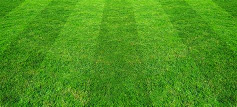 green-grass-field-pattern-background-soccer-football-sports_64749-2365 – Crossroads Sports