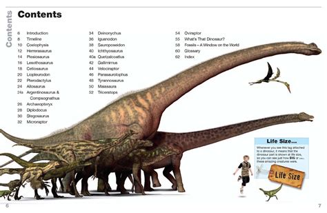 SAYAL Electronics - DINOSAURS LIFE SIZE READING BOOK - 63784