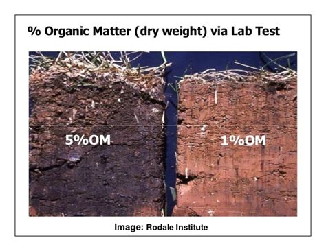 Managing Organic Matter for Soil Health and Fertility